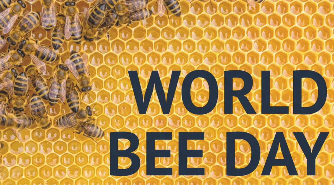 World Bee Day 2025: Why Protecting Bees Protects Us All