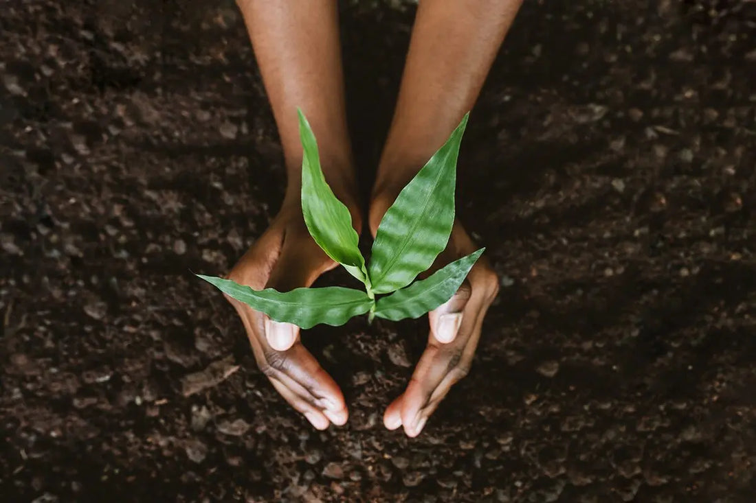 Earth Day: How Your Hair Care Choices Impact the Soil Beneath Our Feet